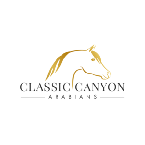 Logo Design by Martinha for this project | Design #23435225