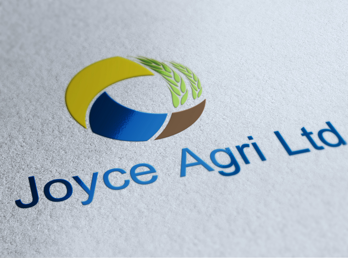 Logo Design by Raros for this project | Design #3015110