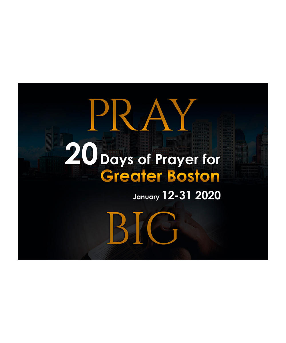 Logo Design by StudioD™ for this project | Design #23432037