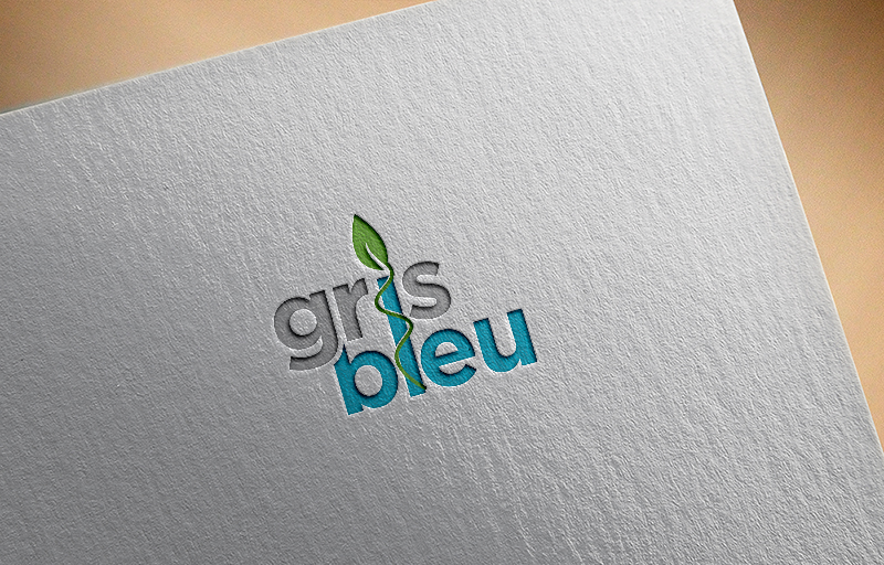 Logo Design by Kim Ji for this project | Design #23450869