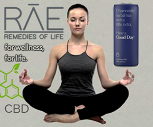 Banner Ad Design by Debmalya