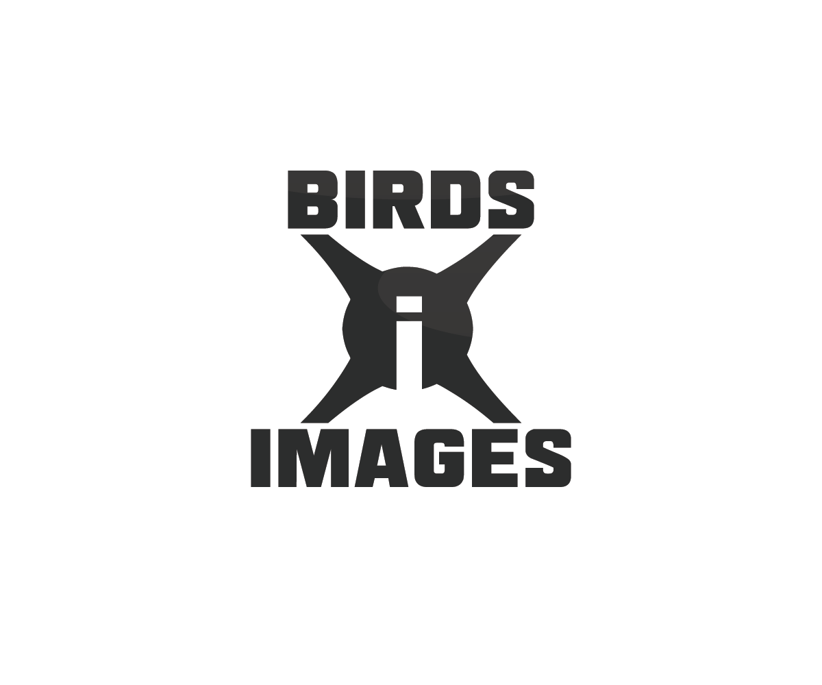 Logo Design by nicolca37 for this project | Design #23490439