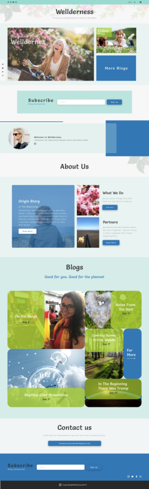 Web Design by Hassaan Shah