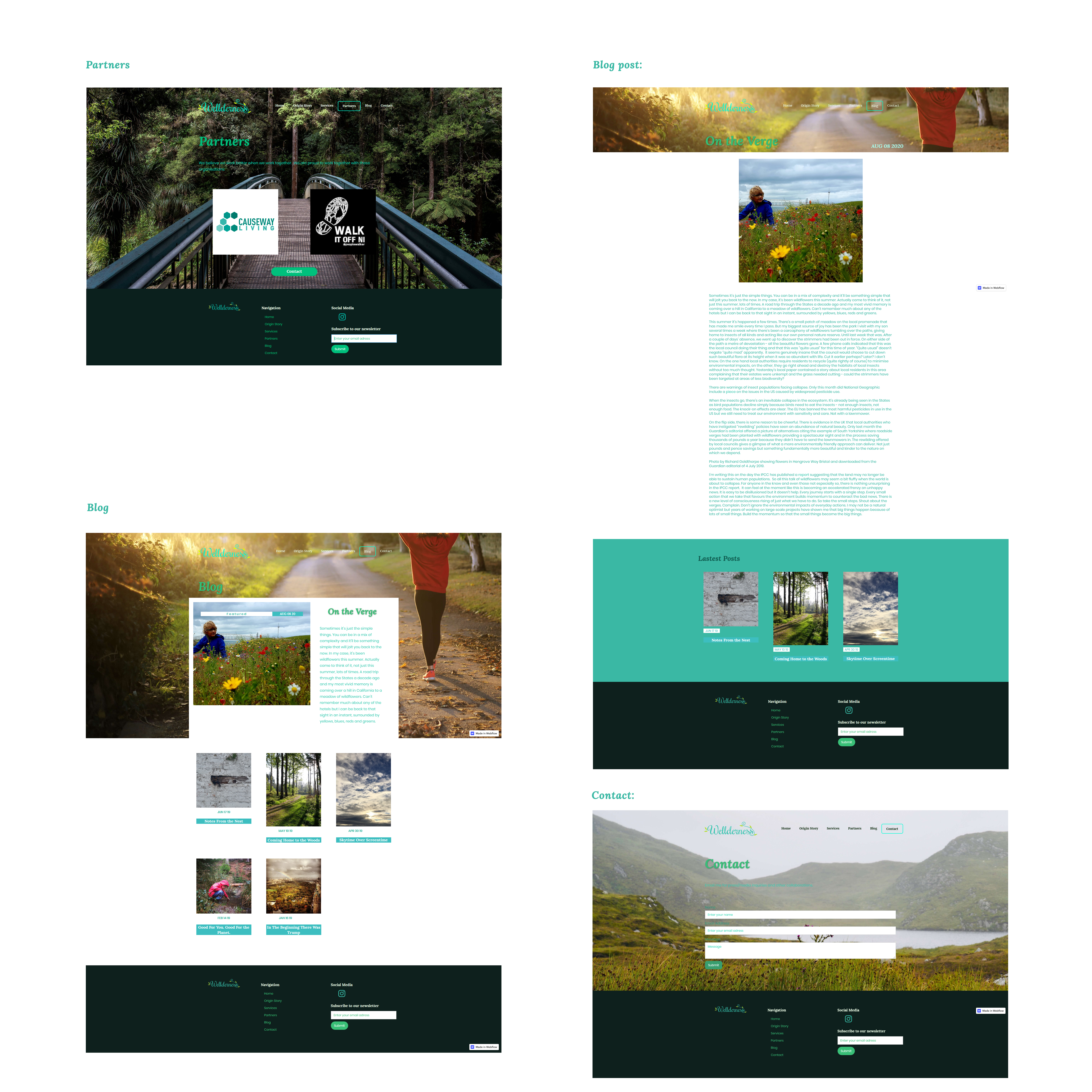 Web Design by koder for Colbha Limited | Design #23506629