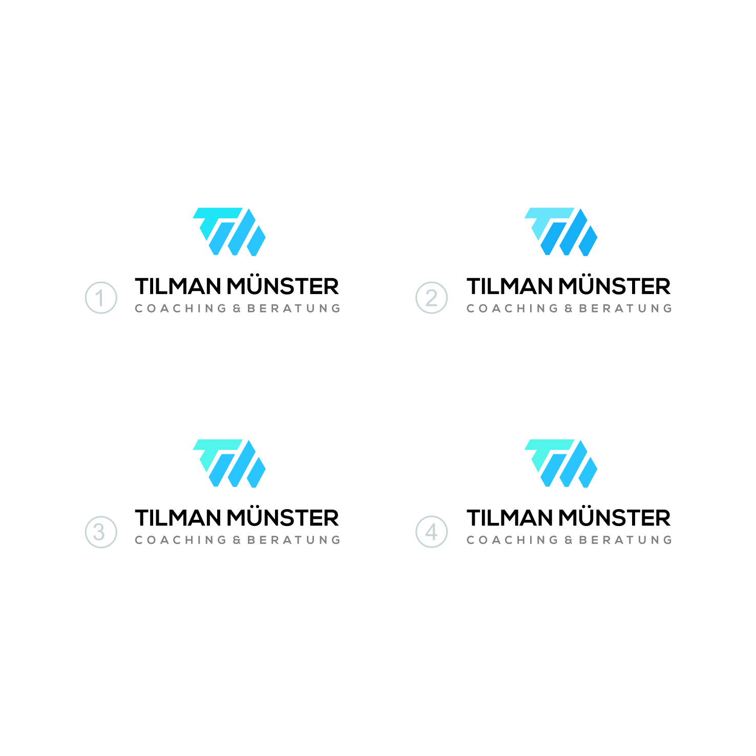 Logo Design by artistoria™ for this project | Design #23611041