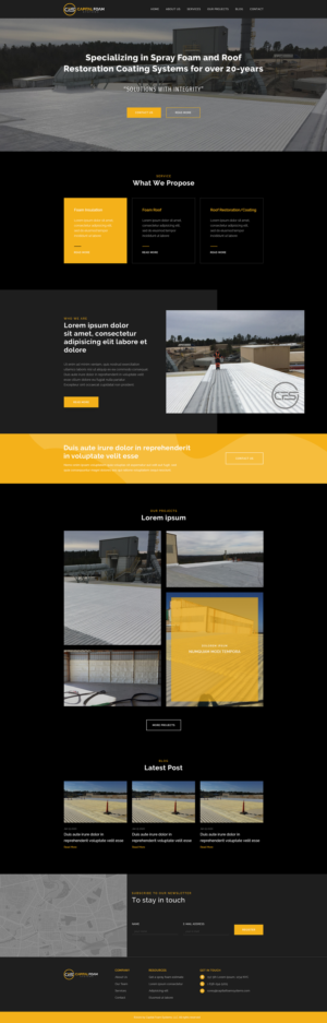 Web Design by Tazmani for Capital Foam Systems | Design: #23482224