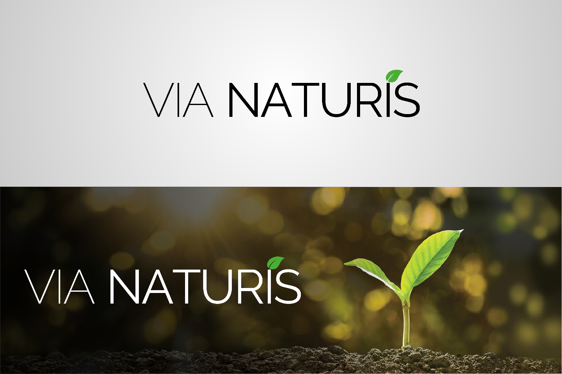 Logo Design by Emran Ali for VIA NATURIS SRL | Design #23482813