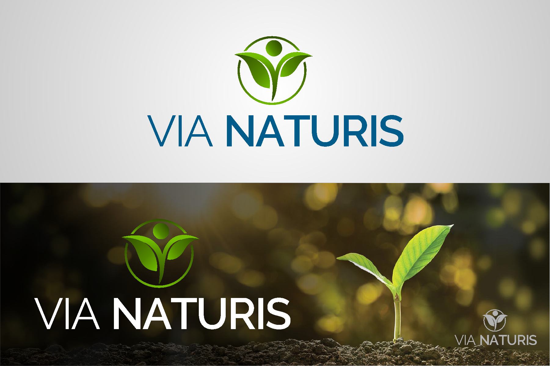Logo Design by Emran Ali for VIA NATURIS SRL | Design #23482873