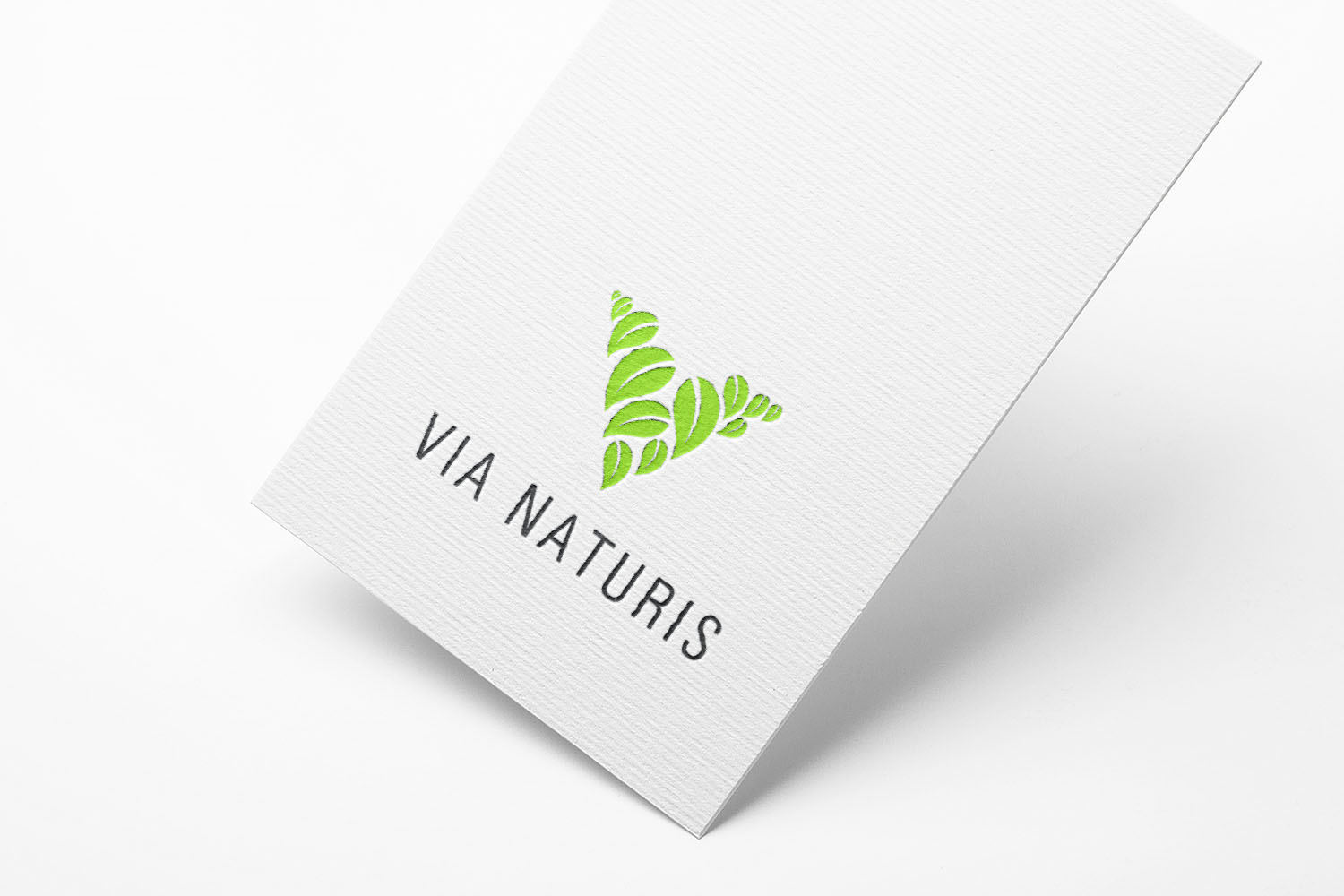 Diseño de Logo por 4tech services para VIA NATURIS SRL | Diseño #23483217