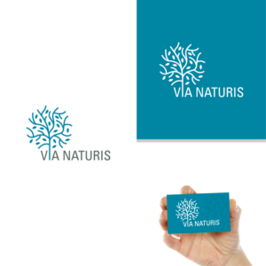 Logo Design by 4tech services for VIA NATURIS SRL | Design: #23489267