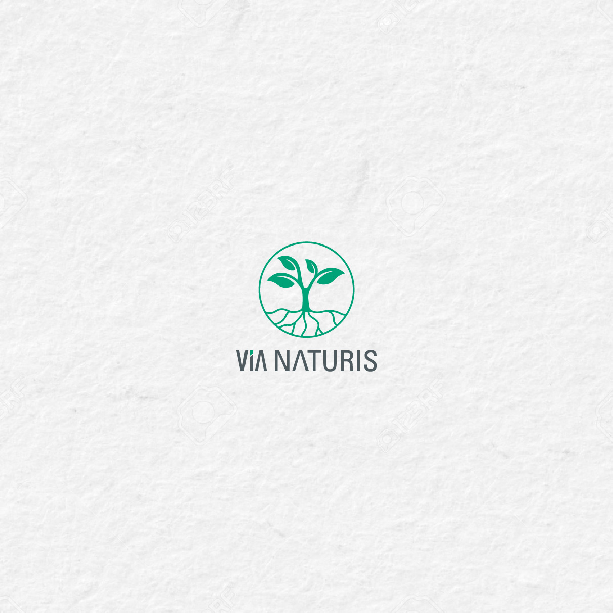 Logo Design by 4tech services for VIA NATURIS SRL | Design #23529009