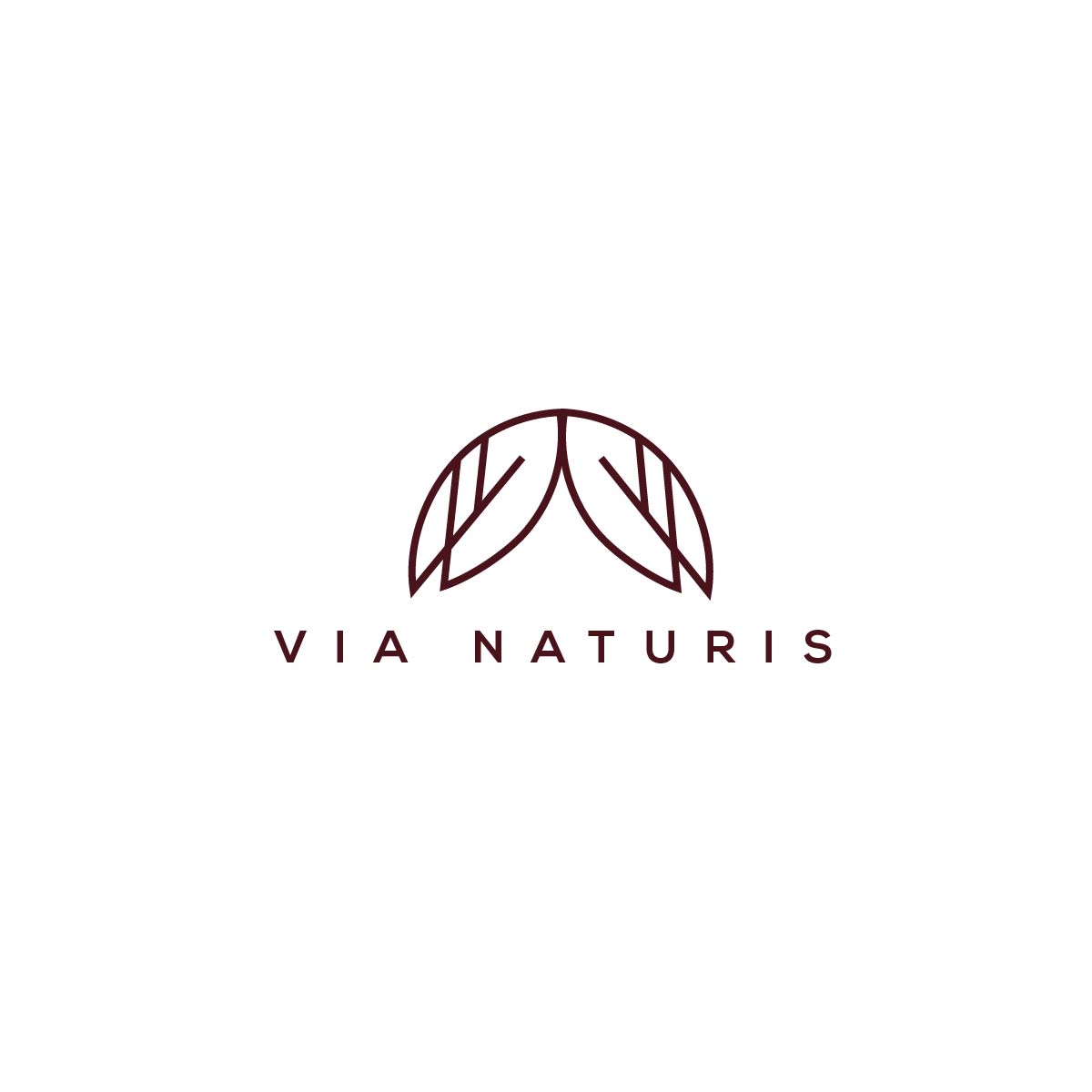 Diseño de Logo por **INCREDIBLEDESIGNERS** para VIA NATURIS SRL | Diseño #23534605