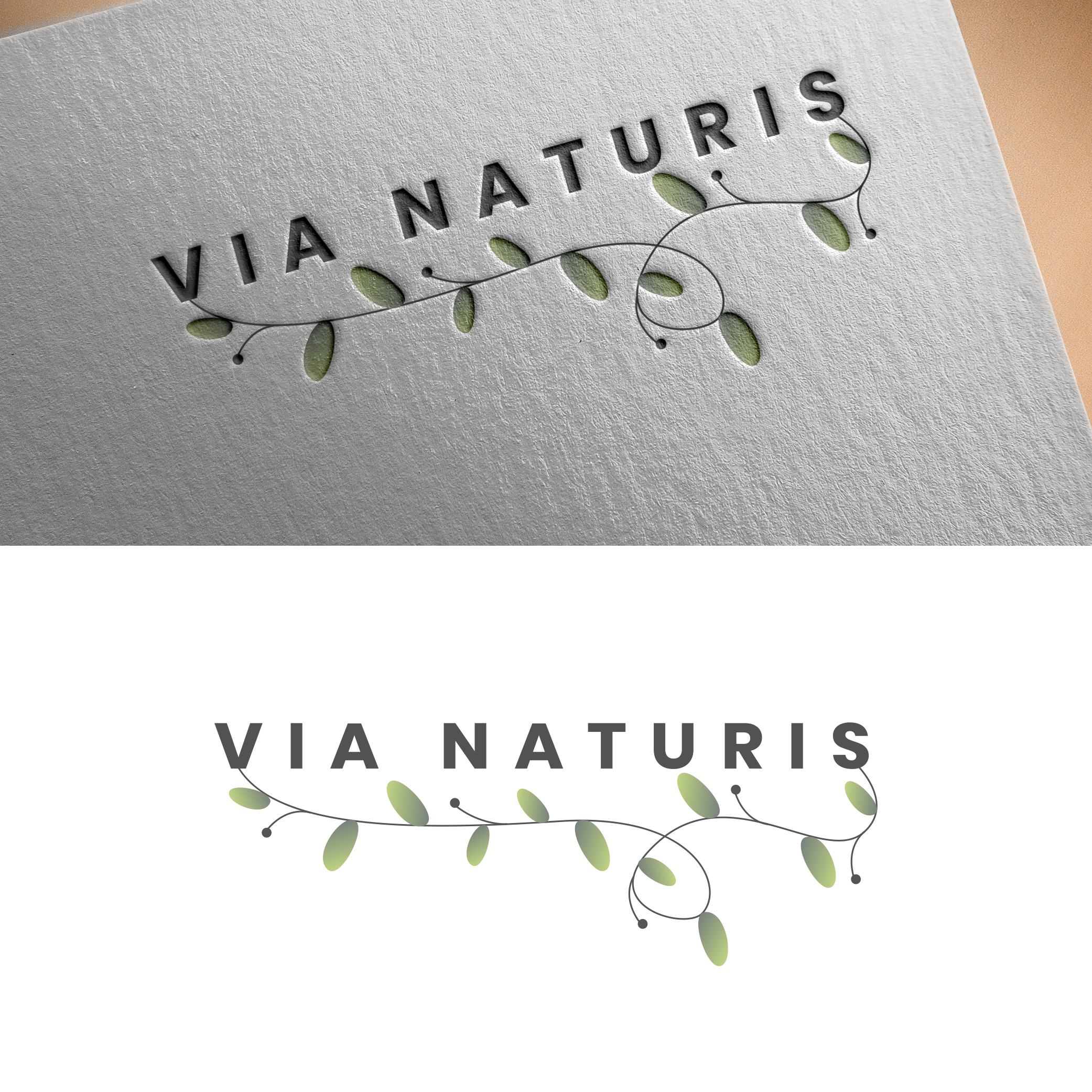 Diseño de Logo por NiN Designs para VIA NATURIS SRL | Diseño #23518875