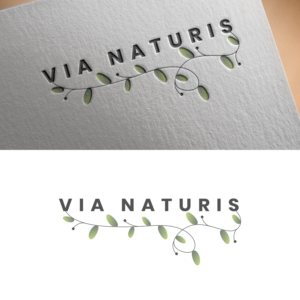Logo Design by NiN Designs