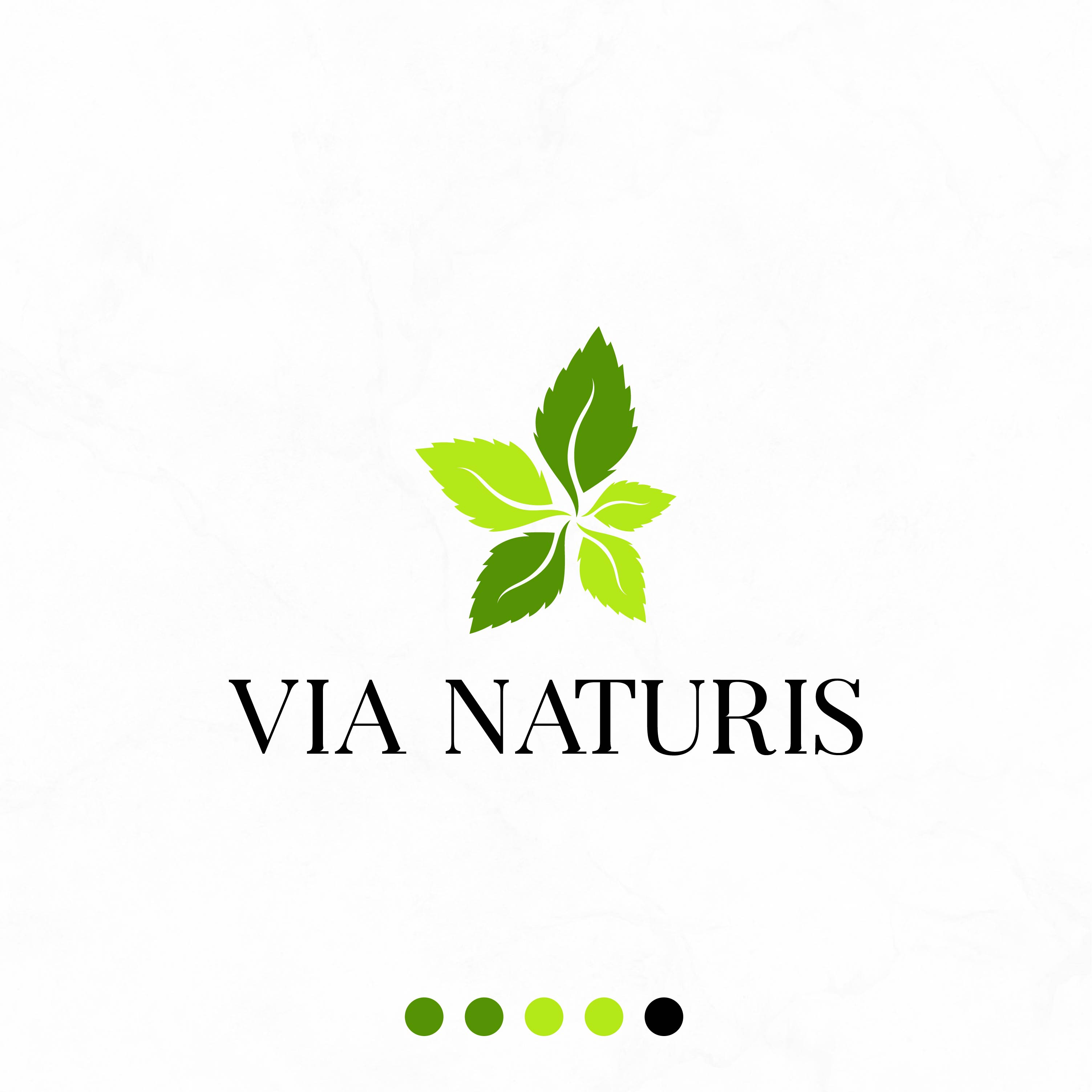 Logo Design by MarkazAlrusumatOfficial for VIA NATURIS SRL | Design #23506290