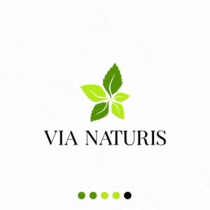 Logo Design by MarkazAlrusumatOfficial for VIA NATURIS SRL | Design #23506290