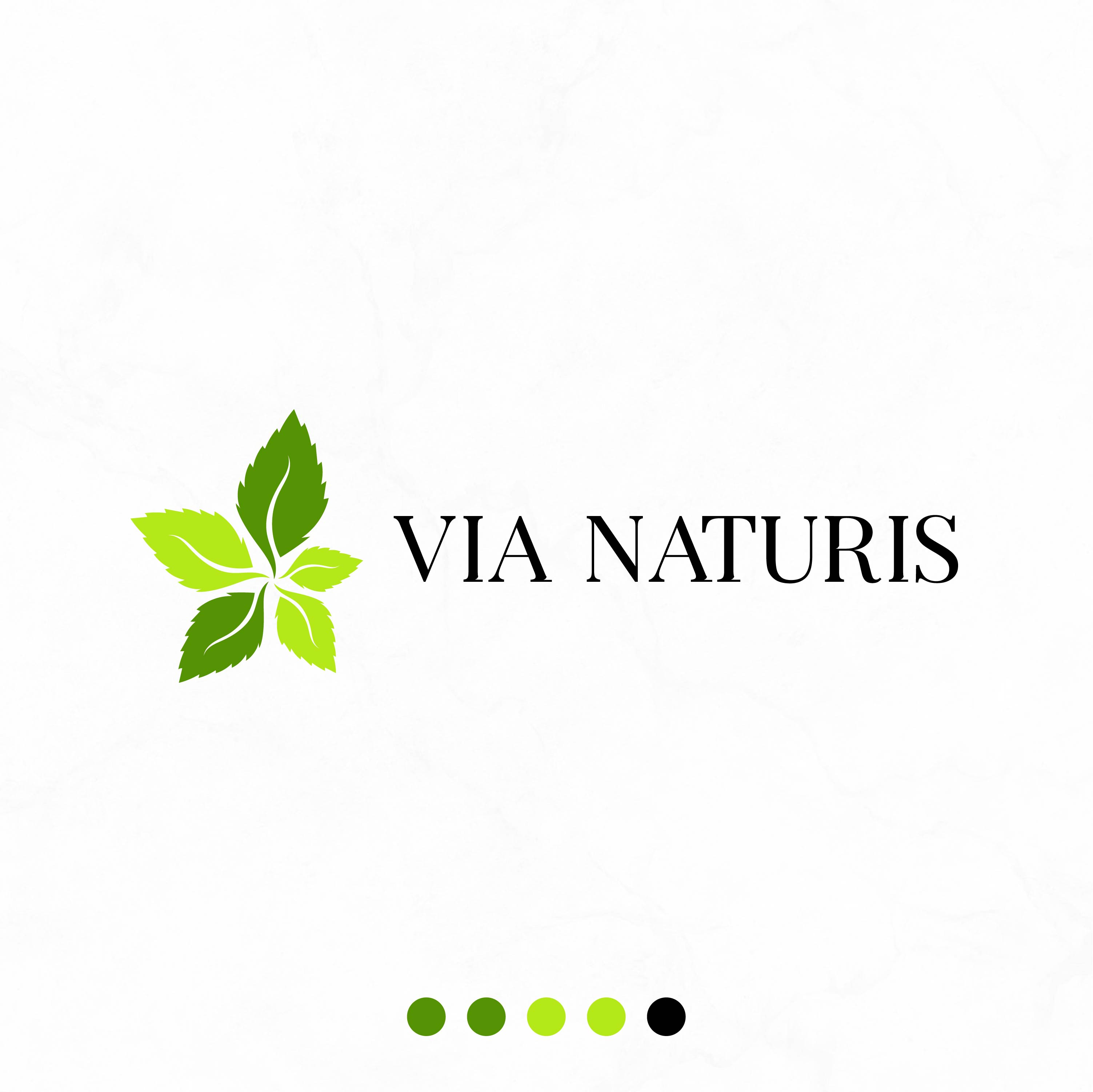 Logo Design by MarkazAlrusumatOfficial for VIA NATURIS SRL | Design #23506293