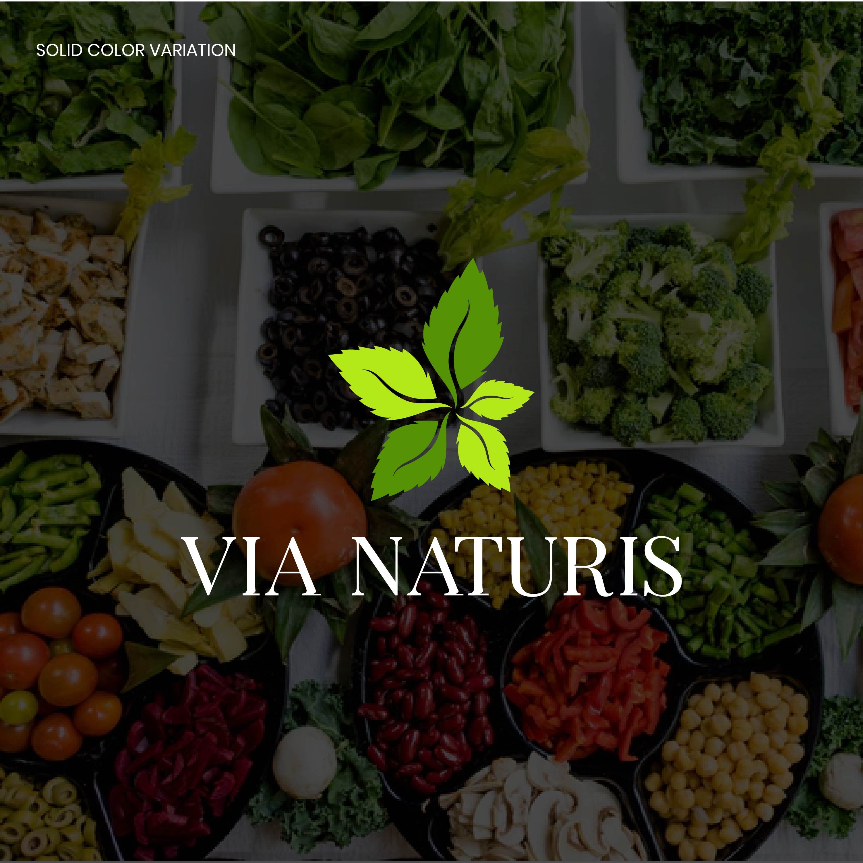 Logo Design by MarkazAlrusumatOfficial for VIA NATURIS SRL | Design #23506294