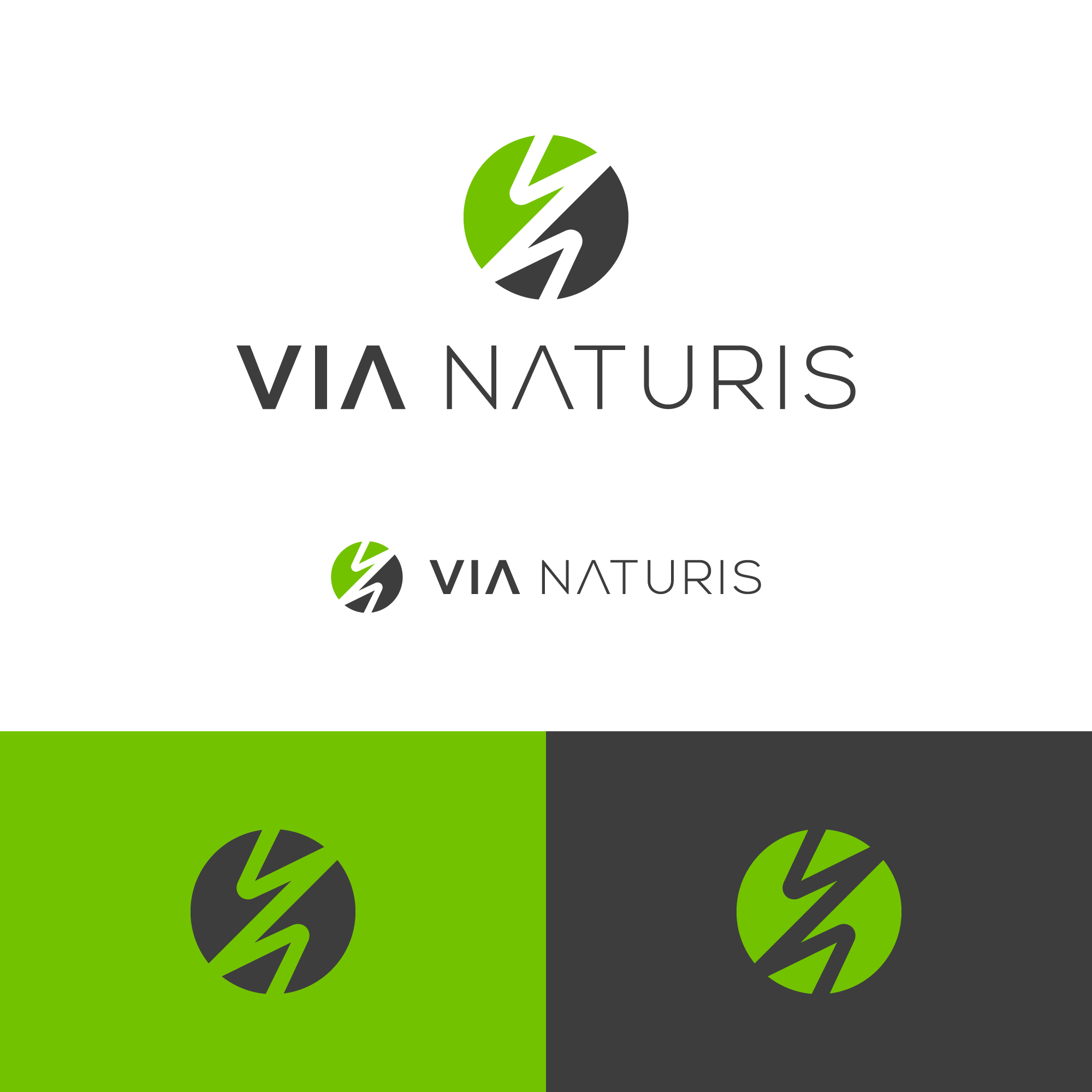 Logo Design by BeGi for VIA NATURIS SRL | Design #23535250