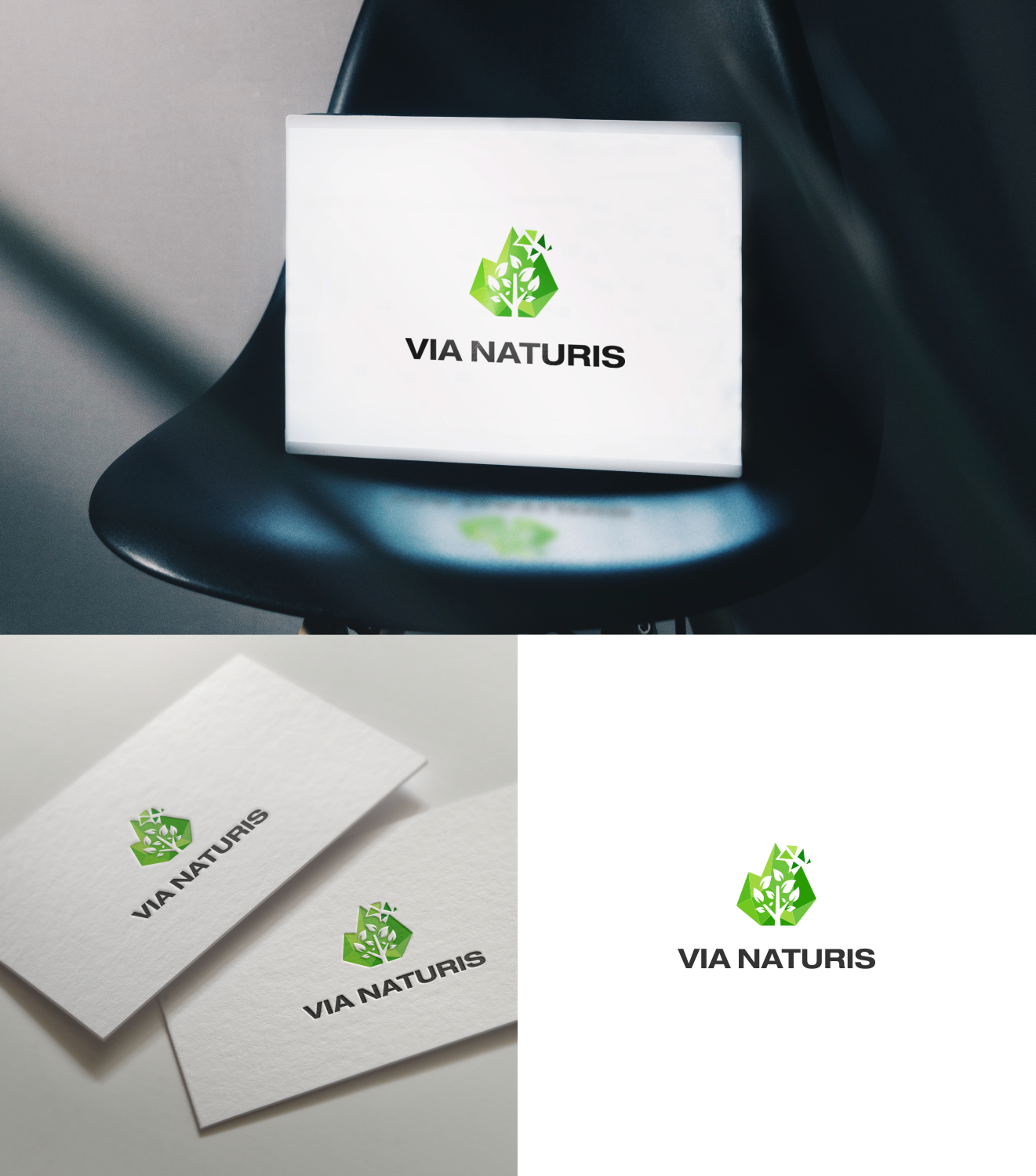 Logo Design by FRAYA DESIGN for VIA NATURIS SRL | Design #23496877
