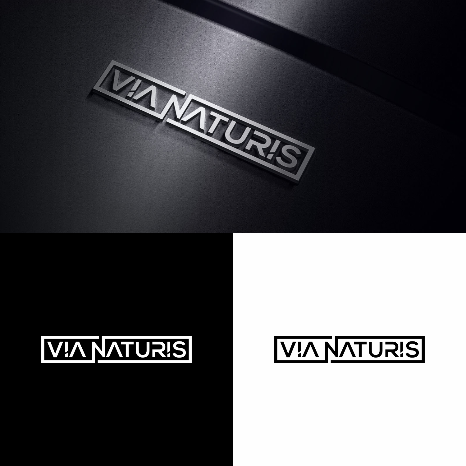 Logo Design by mbah suratman for VIA NATURIS SRL | Design #23488907