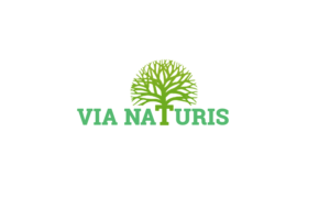 Logo Design by PhoenixEst