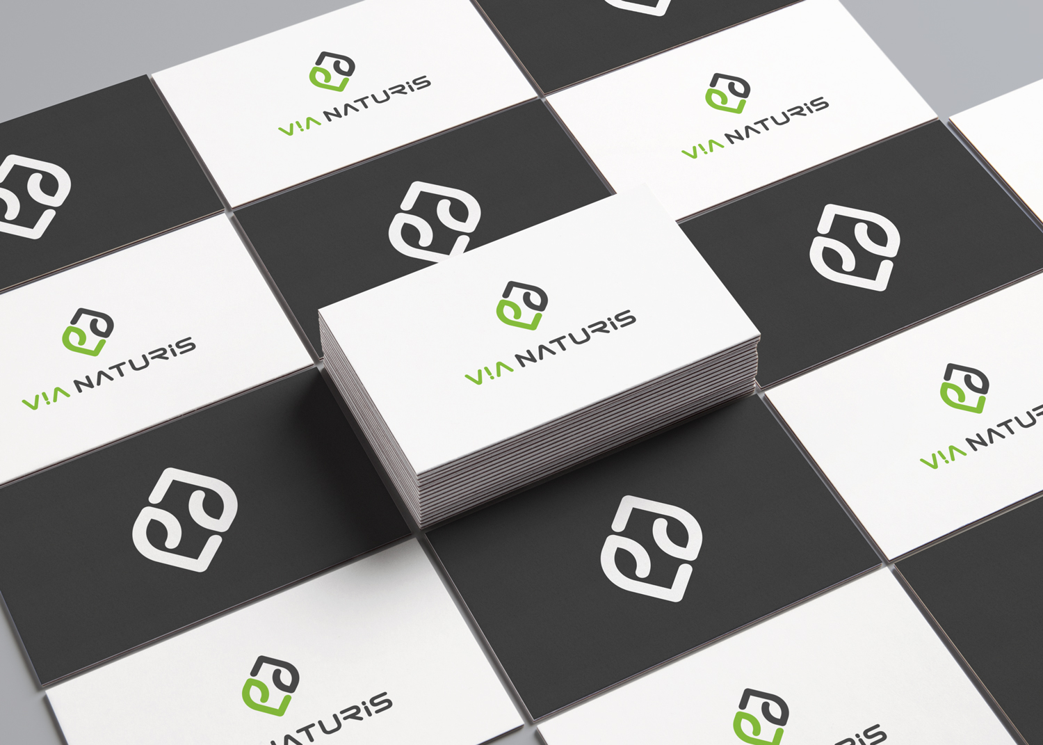 Logo Design by AinebAyoub for VIA NATURIS SRL | Design #23530068