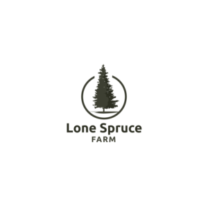 Logo Design by ESolz Technologies