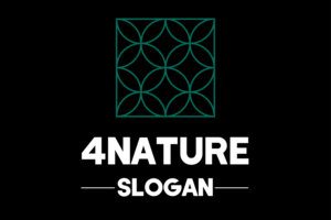 Logo Design by Bilal Sarvana 2