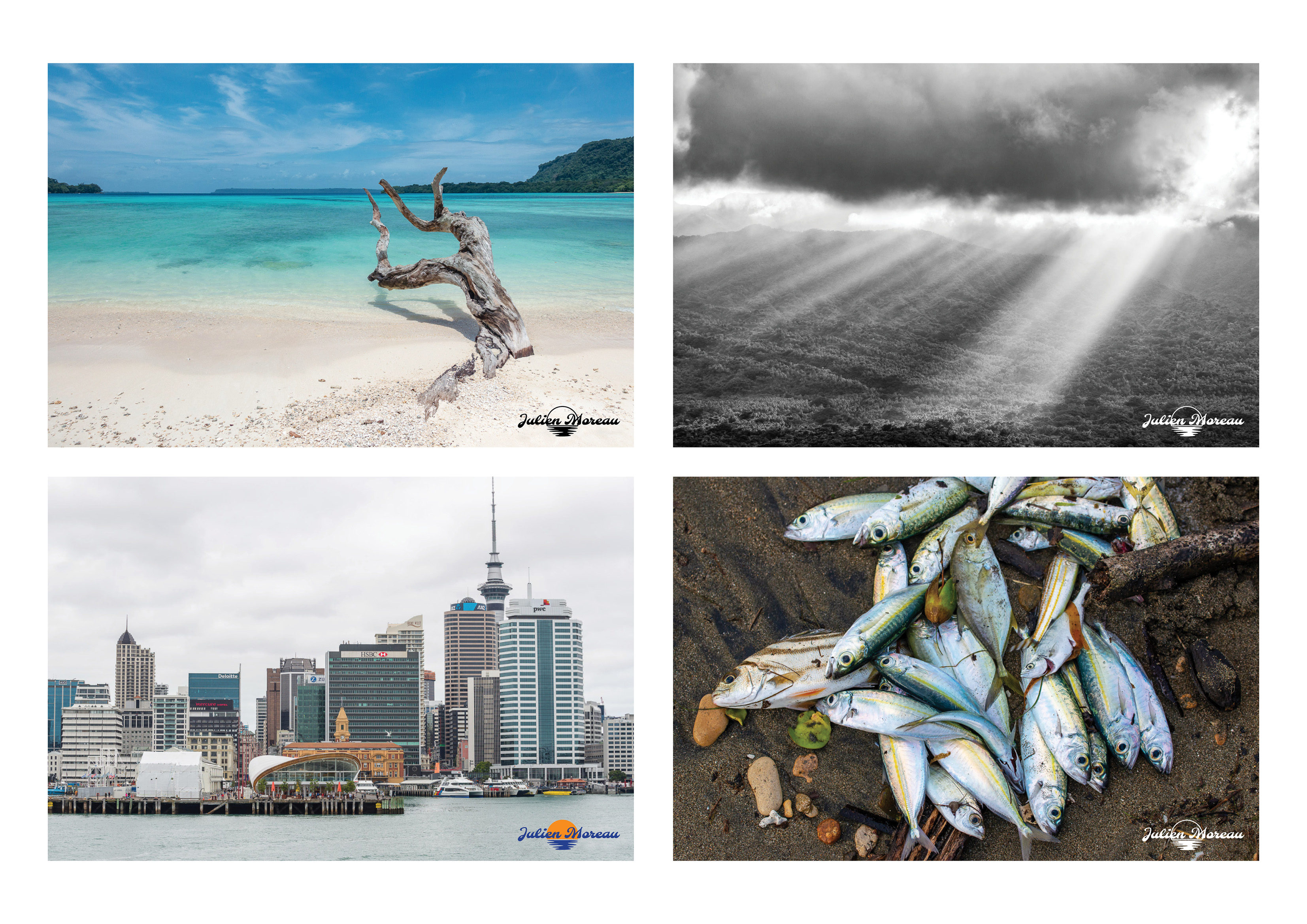 Logo-Design von PAS-CREATIVE für dieses Projekt | Design #23583177