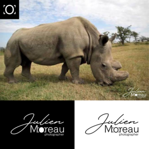 Logo Design by pratama aprilianto for this project | Design: #23533956