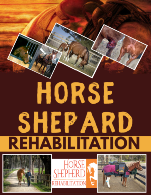 Diseño de Flyer por Giovanni para Horse Shepherd Park | Diseño: #23505458