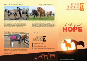 Diseño de Flyer por typeo1978 para Horse Shepherd Park | Diseño: #23520824