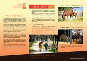 Horse Shepherd Rehabilitation Brochure  | Design de Flyer par typeo1978