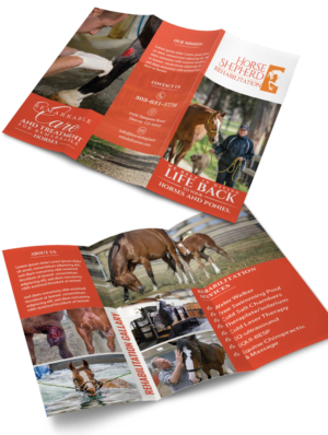 Diseño de Flyer por Finley Johnson para Horse Shepherd Park | Diseño: #23553910