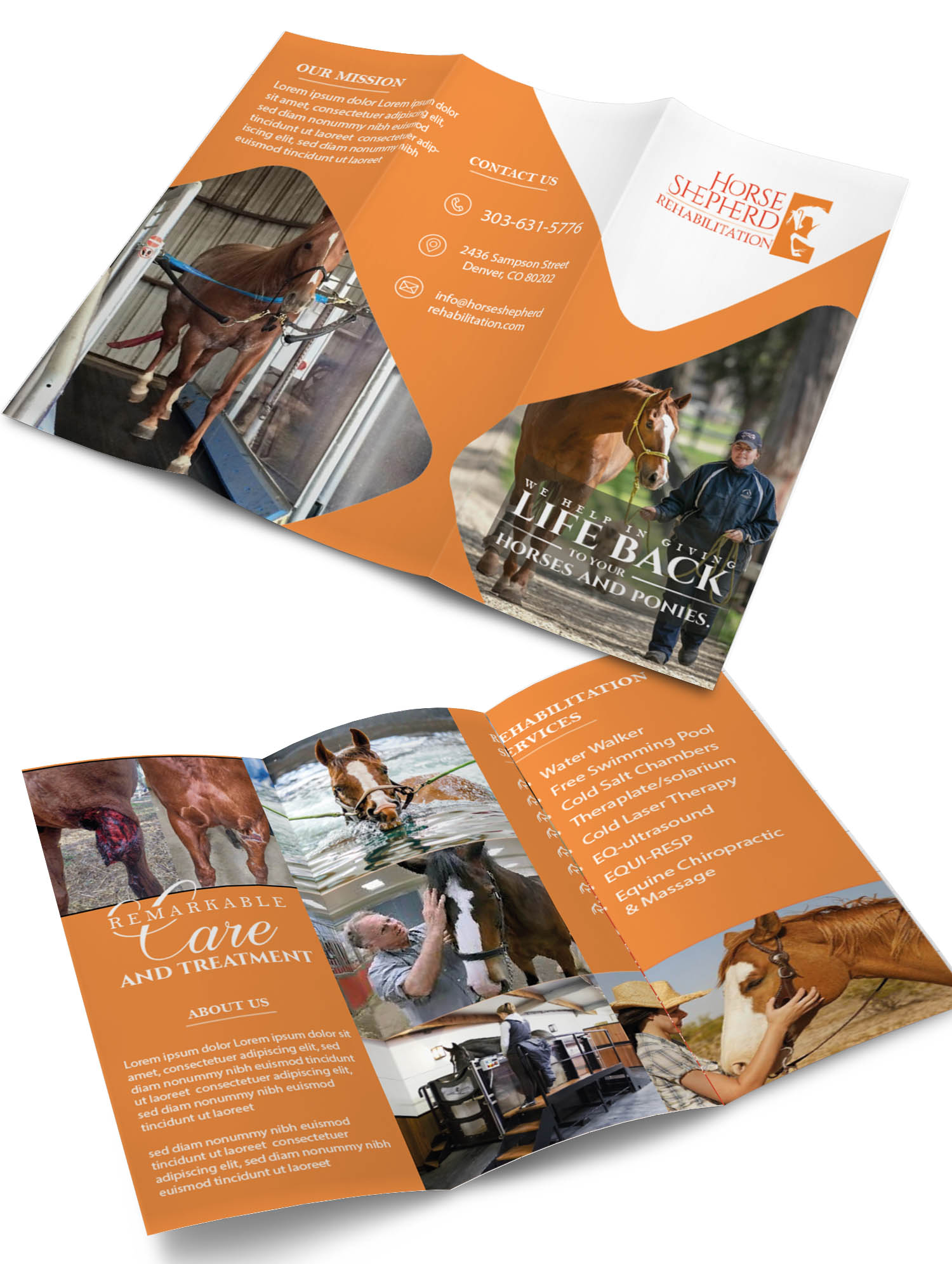 Flyer Design by Finley Johnson for Horse Shepherd Park | Design #23554447