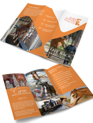 Diseño de Flyer por Finley Johnson para Horse Shepherd Park | Diseño #23554447