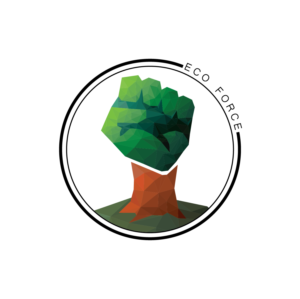 Logo Design by i.Shallgo