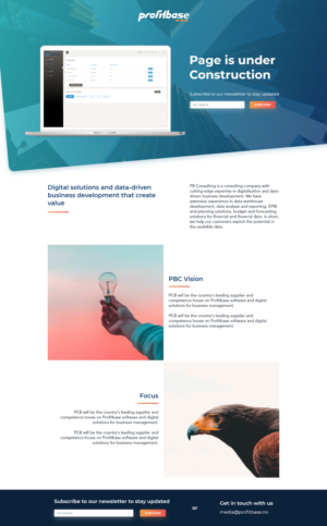 Web Design by ParimalBakrola for Profitbase | Design: #23561070