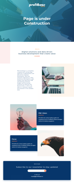 Web Design by ParimalBakrola for Profitbase | Design: #23561279