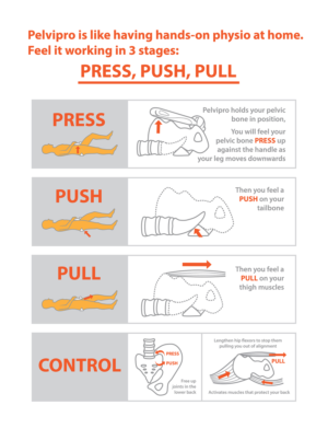 3 Simple Steps to Understand How Pelvipro Relieves Your Back Pain | Diseño Con Ilustración por SangBlater