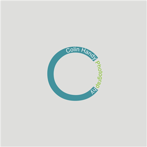 Design de Logo par YELLOWL Creative pour ce projet | Design : #715710