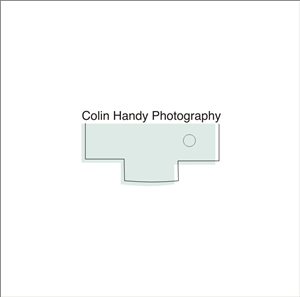Logo Design by YELLOWL Creative