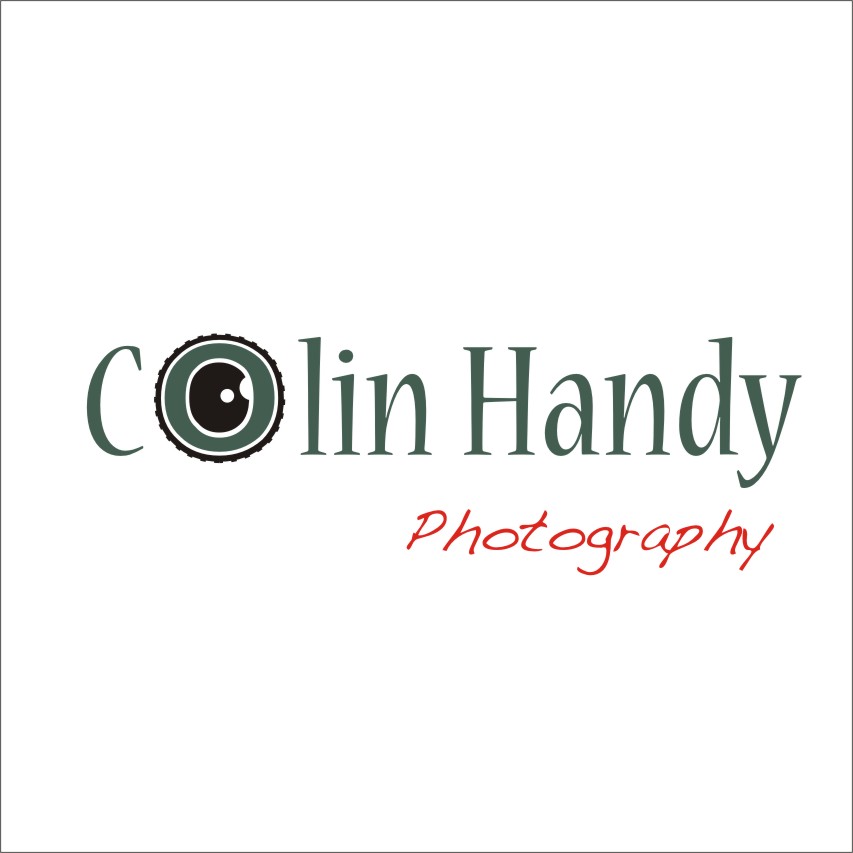 Design de Logo par YELLOWL Creative pour ce projet | Design #717279