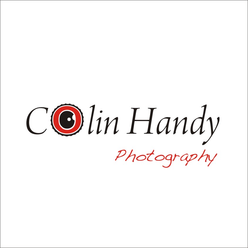 Design de Logo par YELLOWL Creative pour ce projet | Design #717283