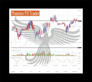 Phoenix  FX Trader | Diseño Gráfico por Fine Graphics House