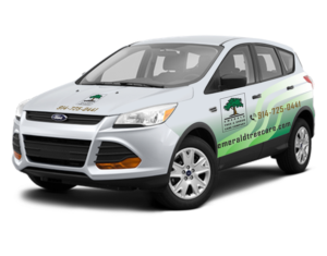 Emerald Tree and Shrub Care Care Wrap