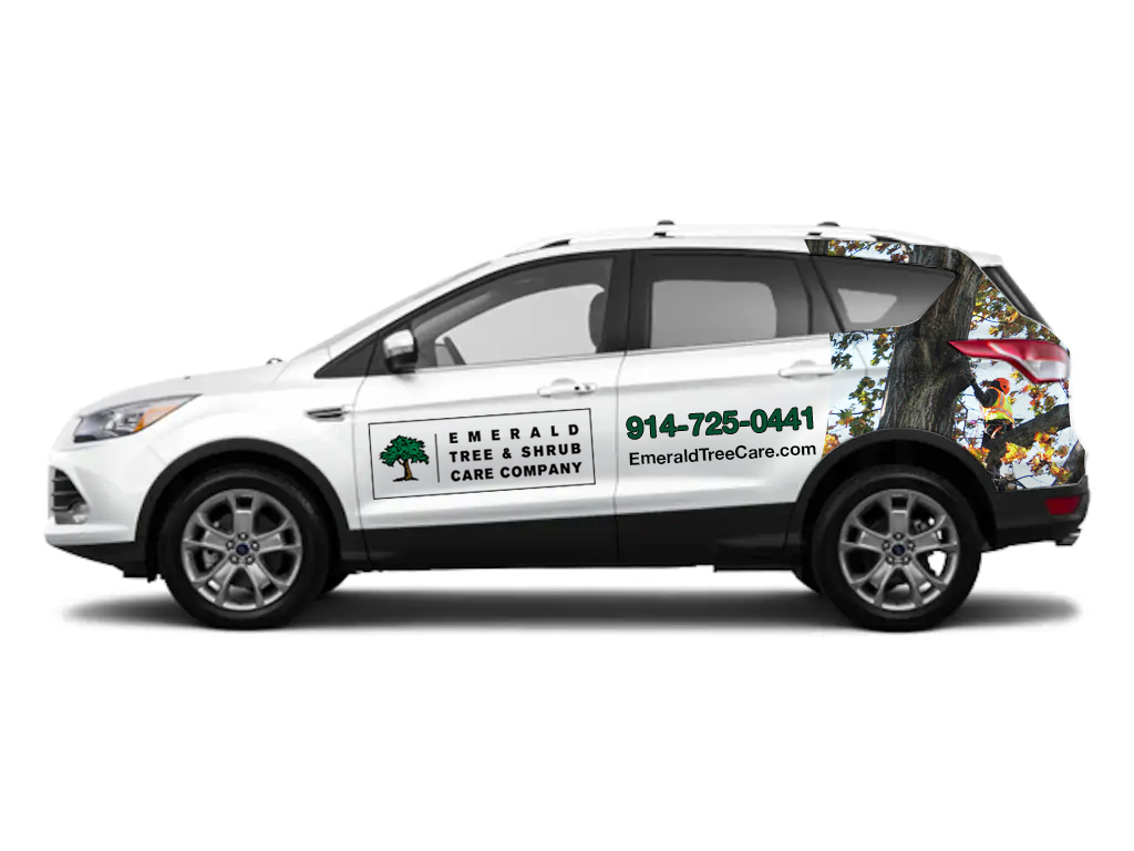 Car Wrap Design by Nilufa Lima for this project | Design #23559900