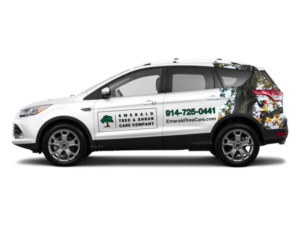 Car Wrap-Design von Nilufa Lima für dieses Projekt | Design #23559900