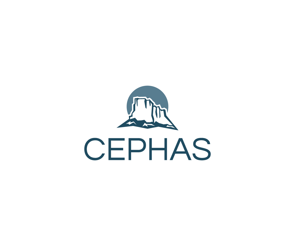 Logo Design by WahyuHMD for this project | Design #23534076